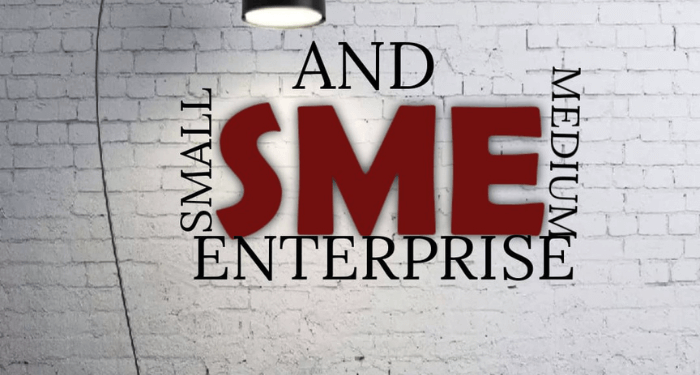 Rose of Sharon Foundation Empowers SMEs with Business Coaching and Grant at The Business Clinic