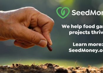 Call For Applications: SeedMoney Challenge 2024 (Up to $15,000)