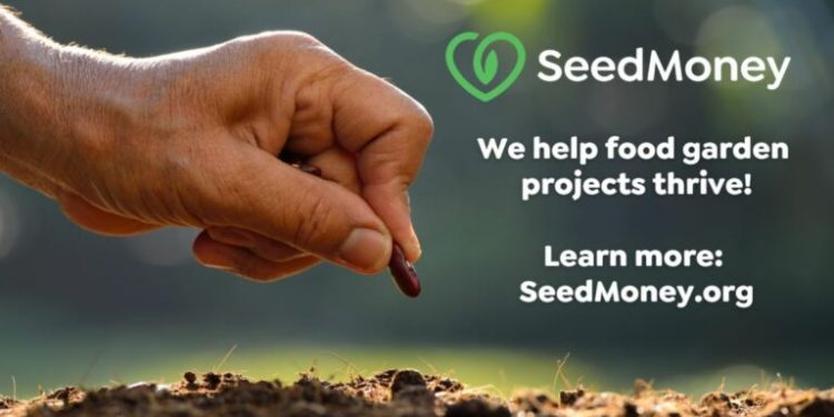 Call For Applications: SeedMoney Challenge 2024 (Up to $15,000)