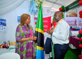 Tanzania Strengthens Trade Ties with Nigeria, Invites African Investment in Key Sectors