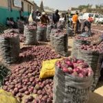 Onion Farmers Face 50% Post-Harvest Losses Amid Rising Costs and Climate Challenges