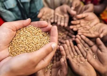 Nigeria Must Tackle Insecurity and Climate Change to Boost Agriculture and Food Security