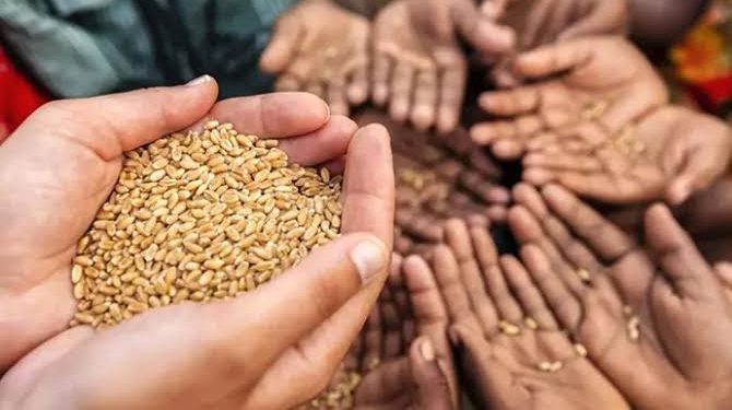 Nigeria Must Tackle Insecurity and Climate Change to Boost Agriculture and Food Security