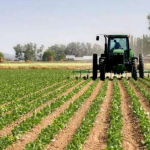 IFAD, Germany Unveils Innovatech 2.0 to Transform Small-Scale Agriculture