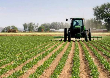 IFAD, Germany Unveils Innovatech 2.0 to Transform Small-Scale Agriculture