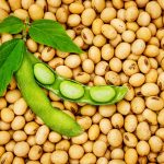 Nigeria Soybean Coalition Targets Protein Sufficiency Through Increased Soybean Use