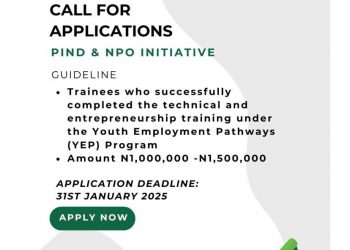 Call for Applications: PIND/NPO Startup Business Funding Program(