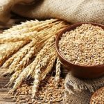 Nigeria Boosts Wheat Production with Support for 2,000 Farmers in Niger State