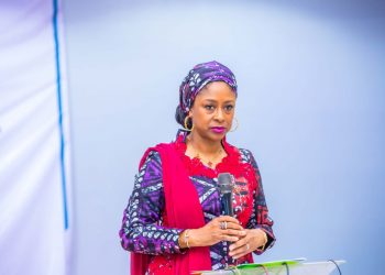 NIPC Targets Fintech, Agri-Tech, Renewable Energy For Investments