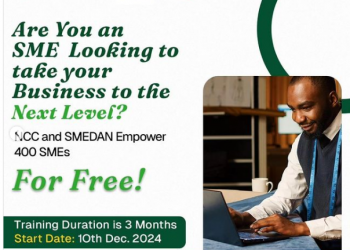 Call For Applications: NCC/ SMEDAN Digital Academy Training For SMEs