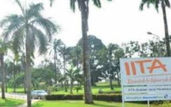 IITA Reaffirms Commitment to Strengthening Food Security and Farmers’ Productivity