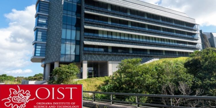 Call For Application: OIST Japan Internship Program 2025 (Fully Funded)
