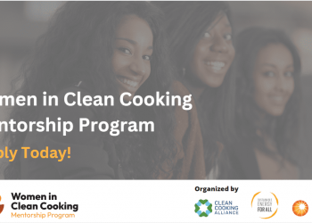 Call for Applications: GWNET Women in Clean Cooking Mentorship Program 2025