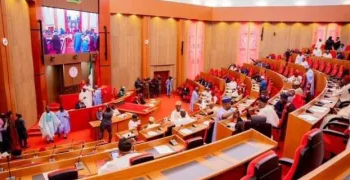 Nigeria Senate Suspends Action on Tax Reform Bills