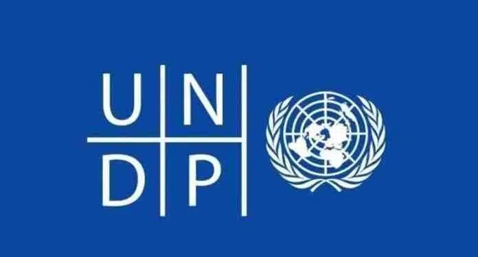 Call For Applications: United Nations UNDP Internship 2025 For Students and Graduates ($1000 Stipend)