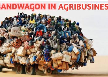 Bandwagon in Agribusiness