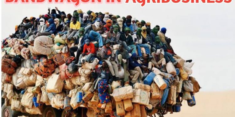 Bandwagon in Agribusiness