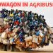 Bandwagon in Agribusiness