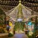 The Festive Season: An Entrepreneur's Golden Opportunity for Growth and Connection