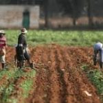 Nasarawa Government Hands Over 14,000 Hectares of Agricultural Land to Saro Agro-Allied