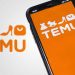 Temu Tops Apple App Store’s Downloads for Second Year