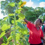 Call For Applications: Resilient Agriculture Innovations for Nature (RAIN) Challenge phase III (cash prize of up to 50,000 USD)