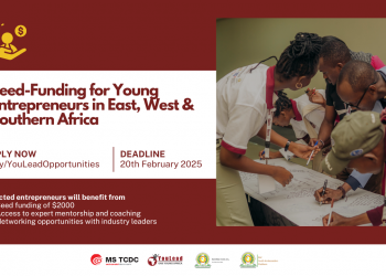 Call For Applications: YouLead Africa Seed-Funding for Young Entrepreneurs in East, West & Southern Africa (Up to $2000 Grant)