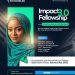 Call For Applications: Impact Fellowship 3.0 Enovate Lab paid Internship Opportunity