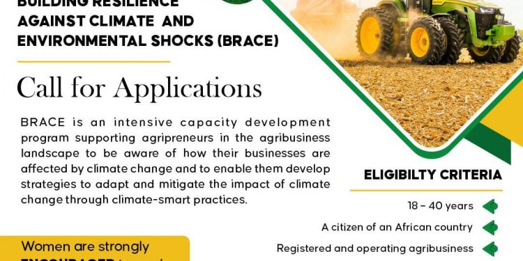 Call For Applications: BRACE Program Cohort 3, Batch 1 For Agri-SMEs in Africa