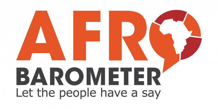 32 young African researchers build their data analysis skills at the 2025 Afrobarometer Summer School and Thematic Workshop