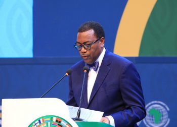 AfDB Criticizes Slow Progress of Nigeria’s Agro-Industrial Project, Warns of Loan Cancellation