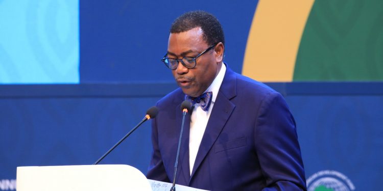 AfDB Criticizes Slow Progress of Nigeria’s Agro-Industrial Project, Warns of Loan Cancellation