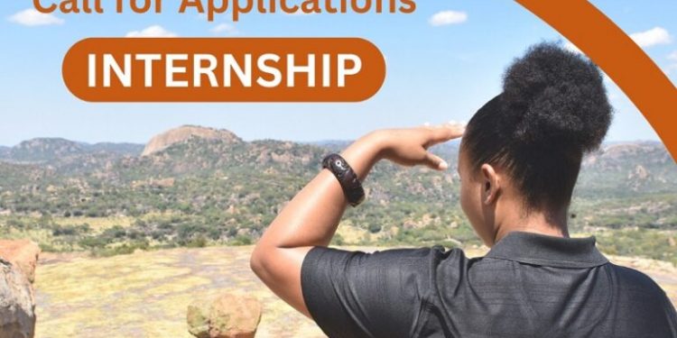 Call For Applications: African World Heritage Fund Remote Internship 2025 (Monthly Stipend available)