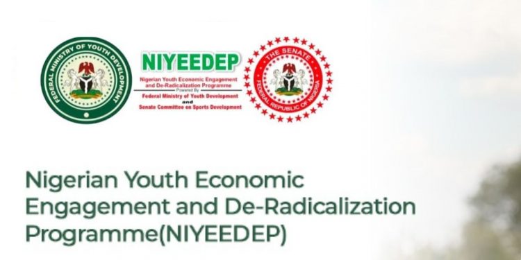 Call For Applications: Federal Government NIYEEDEP Program For Nigerians 2025