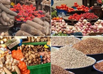 Lagos Food Market Shows Mixed Price Trends as Seasonal and Supply Challenges Persist
