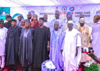 Borno Entrepreneurs to Receive N300,000 Grant to Supports their Businesses