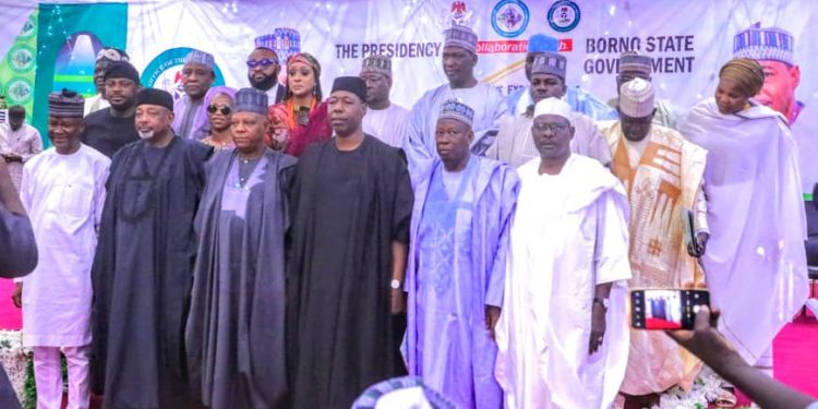 Borno Entrepreneurs to Receive N300,000 Grant to Supports their Businesses