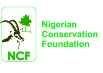 NCF Announces Research Grants for Environmental Science Innovations