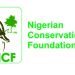 NCF Announces Research Grants for Environmental Science Innovations
