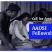 Call For Applications: Code for Africa (CfA) African Academy for Open Source Investigation (AAOSI) Fellowships 2025