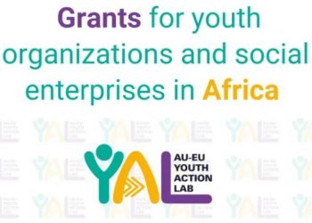 Call for Applications: AU-EU Youth Action Lab Entrepreneurship Grants