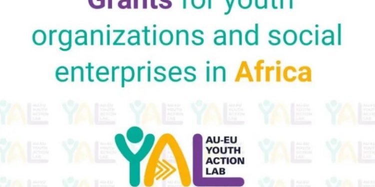 Call for Applications: AU-EU Youth Action Lab Entrepreneurship Grants