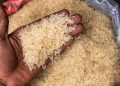 Rice Farmers Lament as Imports Crash Local Industry