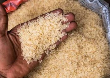Rice Farmers Lament as Imports Crash Local Industry