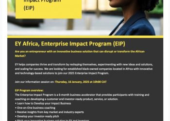 Call For Applications: EY Africa Enterprise Impact Program (EIP) 2025