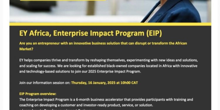 Call For Applications: EY Africa Enterprise Impact Program (EIP) 2025