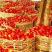 National Tomato Growers Urge Nigerian Government to Tackle Post-Harvest Losses