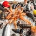 Global Seafood Boom Offers Nigerian Entrepreneurs $1 Billion Opportunity