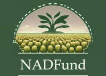 NADF, Niger State Partner N5 Billion to Boost Food Security Initiative