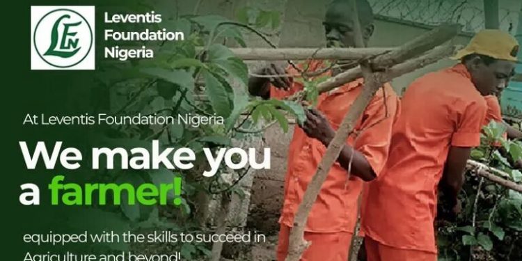 Call For Applications: Leventis Foundation Agricultural Training Program 2025 (Fully Funded)
